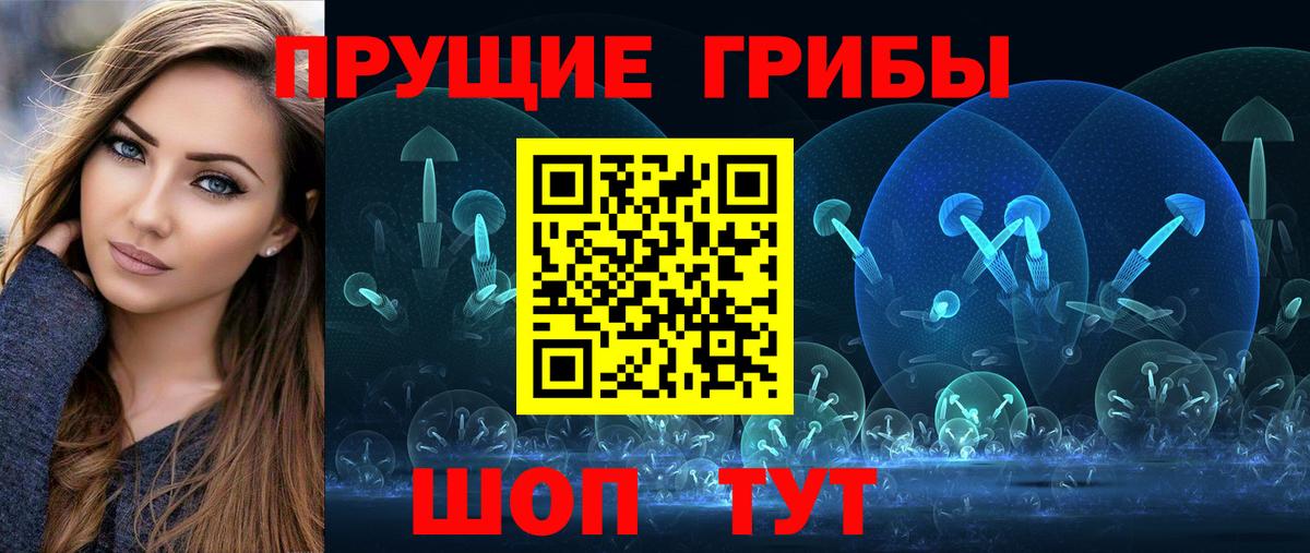 Псилоцибиновые грибы Cubensis Гулькевичи